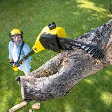 Seasonal Cleanup (Spring/Fall) in Rainier, OR